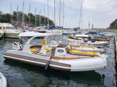 Revenger 25.50 cabinato