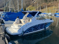Chaparral 250 Signature