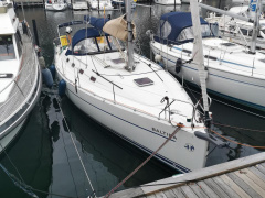 Harmony 38