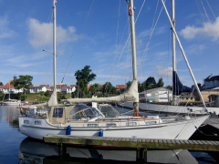 Anne Wever Trintella III A