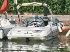 Sea Ray 190 BR