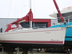 Delphia 28