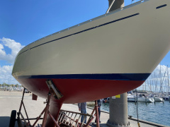 Albin Scampi 30