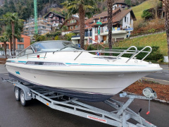 Windy 7800