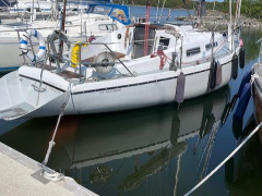 Arabesque 30
