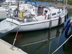 Arabesque 30