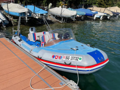 Wiking METEOR 460