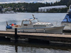 Albin 25 DL