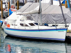 Sunwind 301