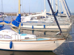 Kingscruiser 29