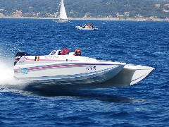 Cougar 25
