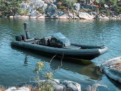 Brig Inflatable Boats Eagle 10