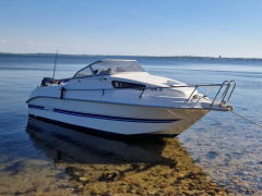 Drago Fiesta 550