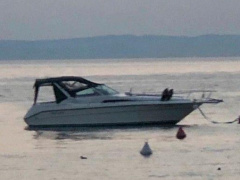 Sea Ray 310 DA