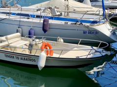 Boston Whaler Euro 15