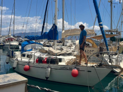 Alberg 29