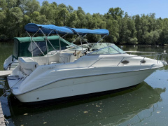 Sea Ray 250DA Sundancer