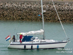 Westerly Typhoon 37