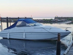 Chris Craft 228 Concept