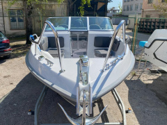 Silver Eagle 650