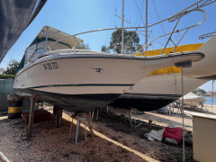 RINKER FIESTA 260 VEE