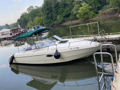 Stingray 220 CX