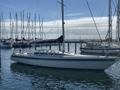 Luffe 37