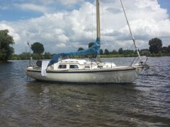 de Kloet Fellowship 28
