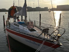 Helmsmann 31