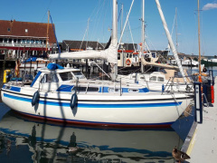 Mascot 28