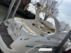 Sealine 360 AMBASSADOR