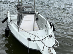 Elan 20