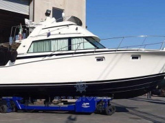 Bertram Yacht 38' Sport fish MK 3