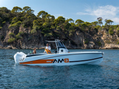 BMA X 266