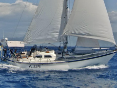 Tayana Vancouver 42