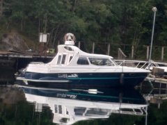 Bella Falcon 26