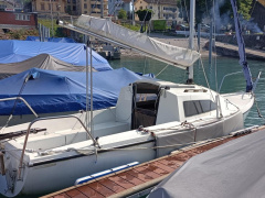 Albatros 570
