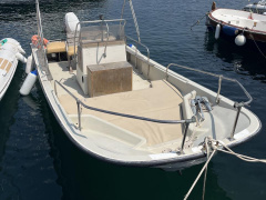 Boston Whaler Outrage 19