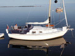 de Kloet Fellowship 28