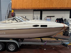 Stingray 200cx