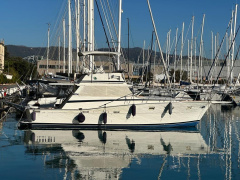 Viking 40