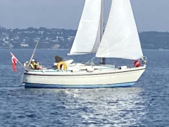 LM Mermaid 270