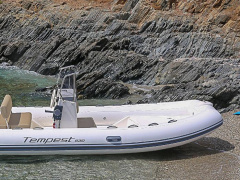 Capelli Tempest 530