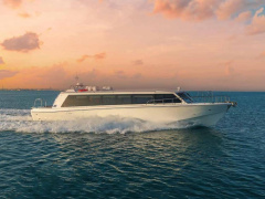 Aldhaen Craft Wave Breaker 350 VIP TRANSPORTER