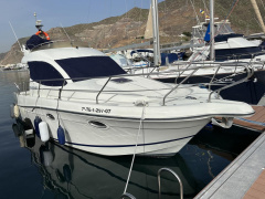 Starfisher W30