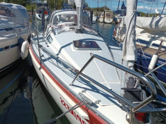 Scanmar 31