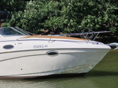 Rinker 250 Fiesta Vee