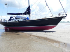 Koopmans 40