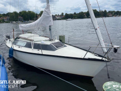 Dufour 1800