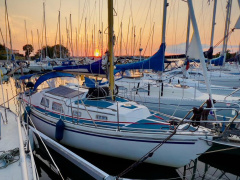 de Kloet Fellowship 28